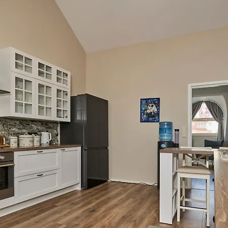 Charming Penthouse With Sauna In Old Town