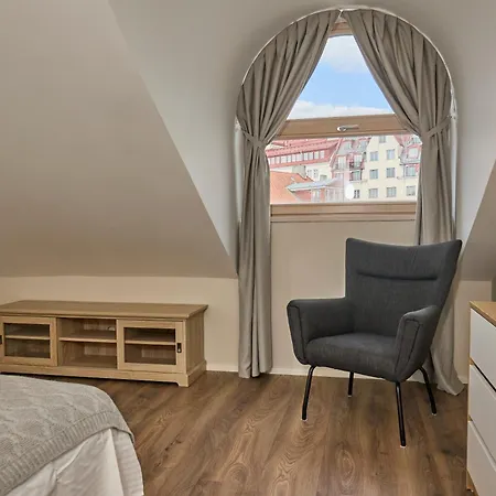 Charming Penthouse With Sauna In Old Town *