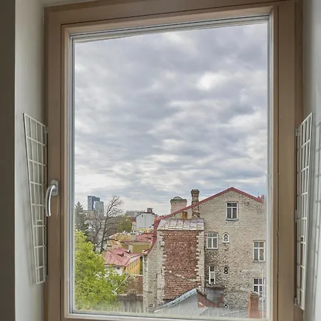 Charming Penthouse With Sauna In Old Town *