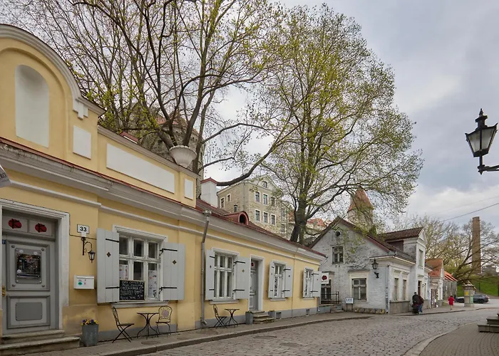 Charming Penthouse With Sauna In Old Town Appartement