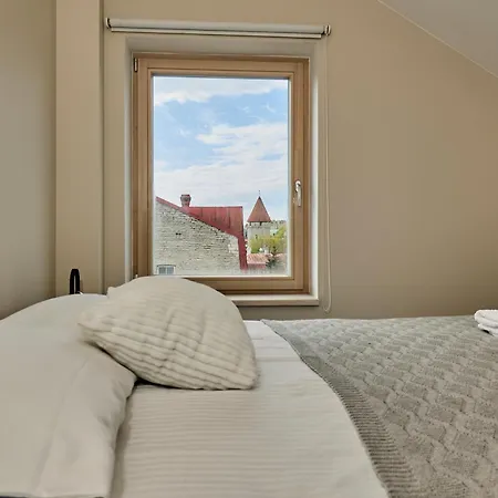 Charming Penthouse With Sauna In Old Town * טאלין